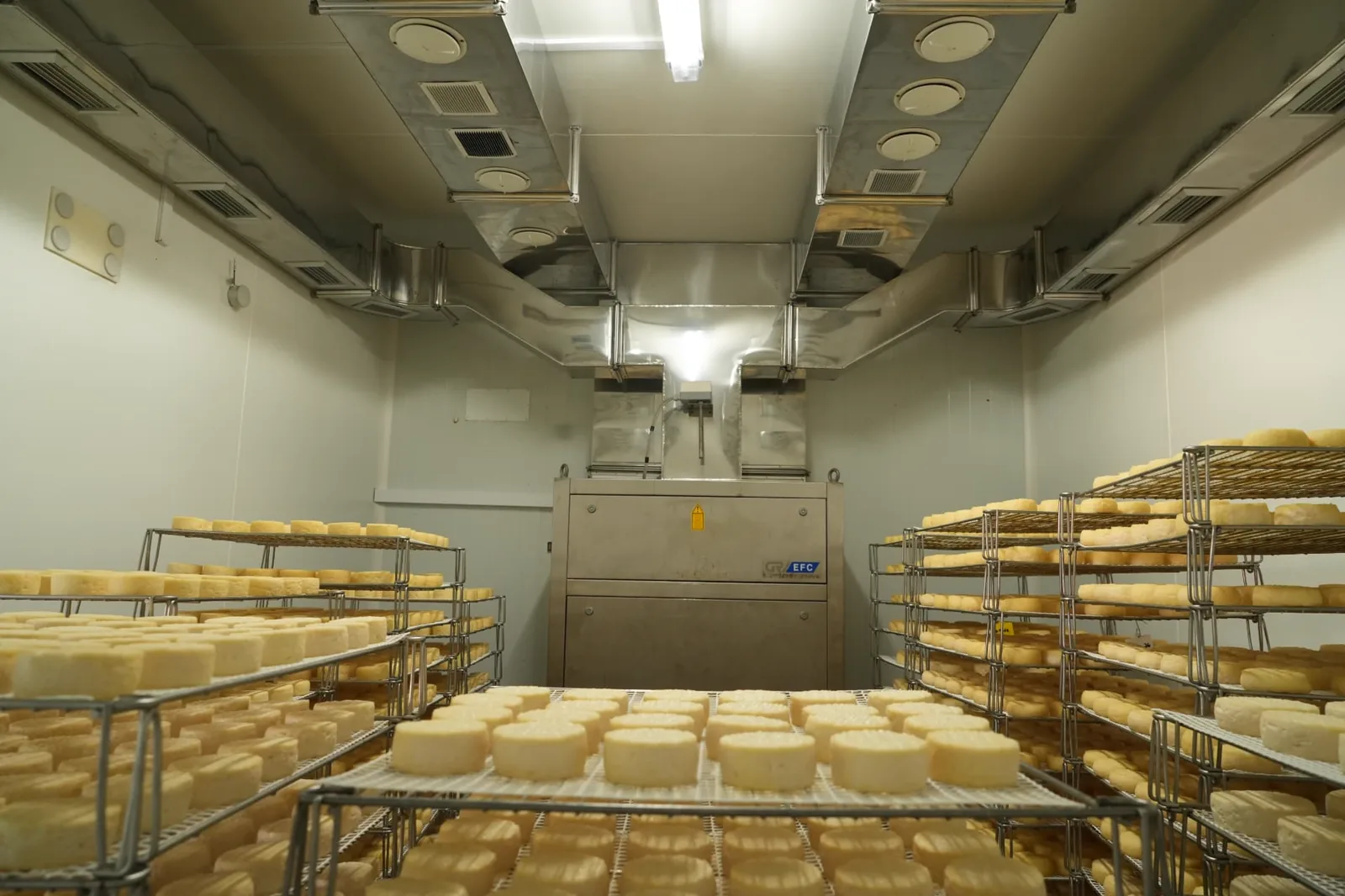 Sala de produção clara e simétrica, com queijos dispostos em grelhas